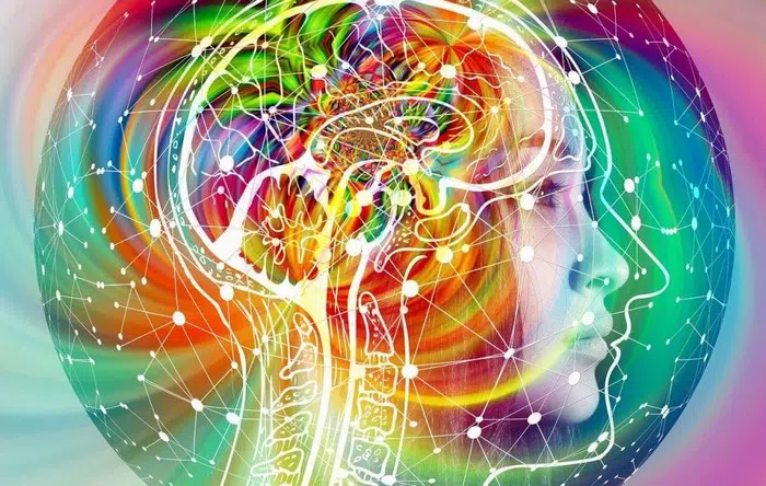 Peut-on faire confiance à notre intuition ?